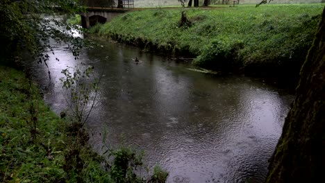 drops of rain on the water.
