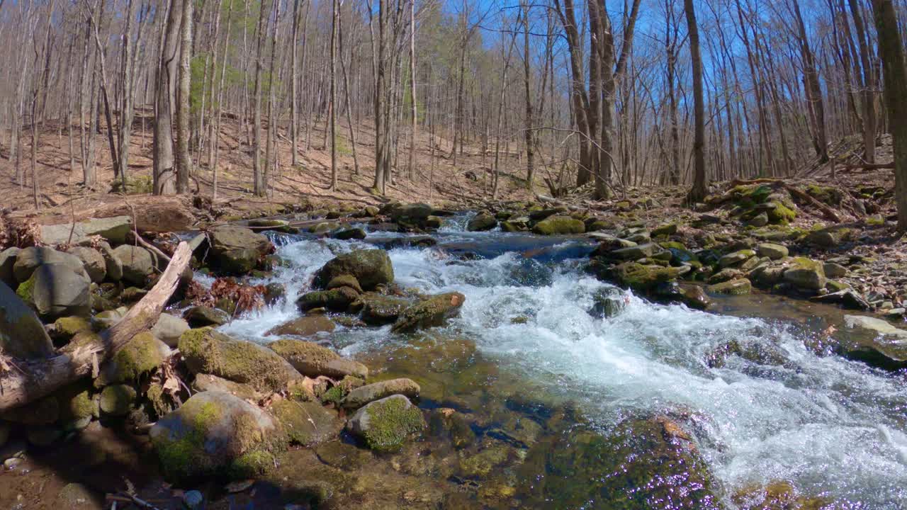  Nature time lapse of a beautiful, fresh woodland stream during early spring, after snow melt, in the Appalachian mountains
