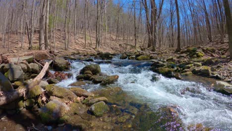 nature time lapse of a beautiful, fresh woodland stream during early spring, after snow melt, in the appalachian mountains