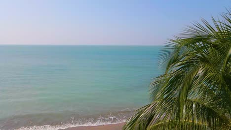 Vast-ocean-view-with-sandy-beach-and-green-tropical-palm-tree