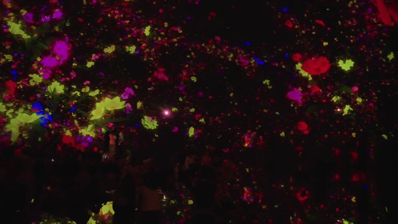 꽃과 빛 3d 디지털 홀로그램 디스플레이 도쿄, 일본