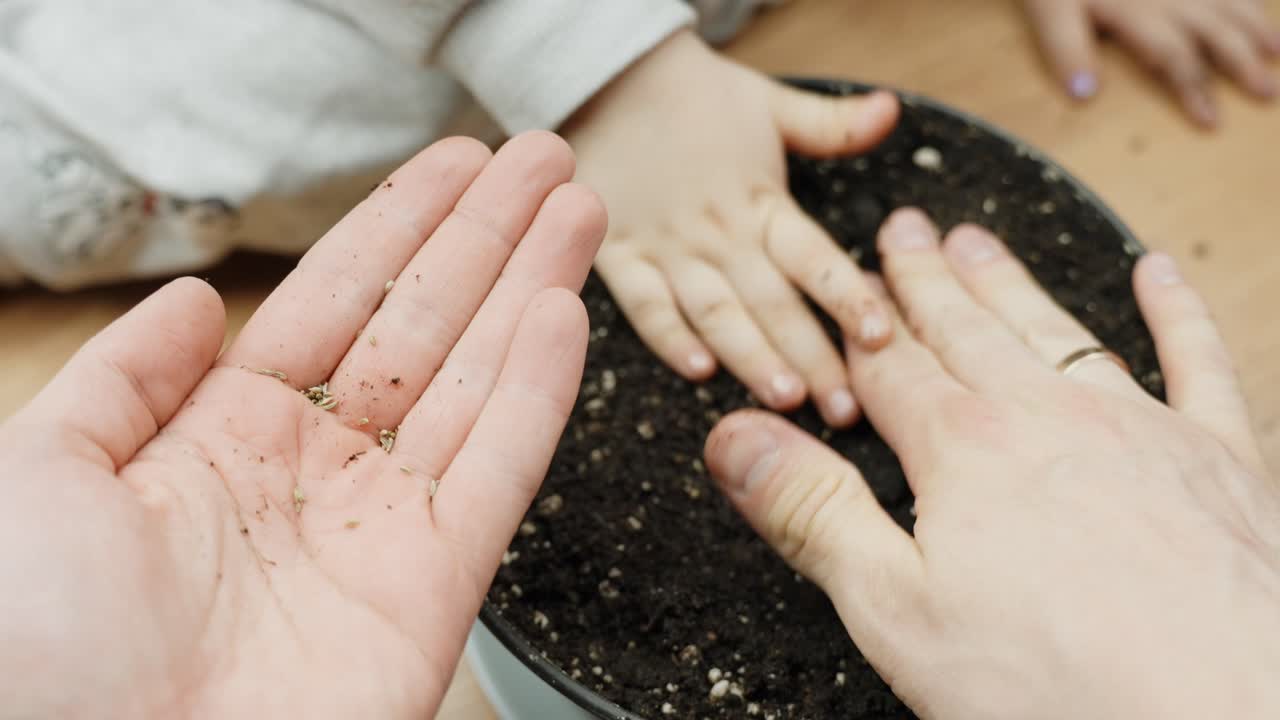 A close-up moment of shared planting as adult and child hands work together in fresh soil, preparing to sow seeds. Symbol of growth, family, and care at the start of a gardening journey.