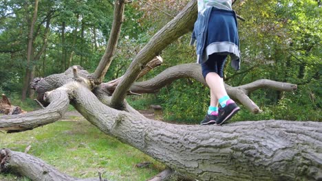 young caucasian girl walking on a large tree trunk in a forest