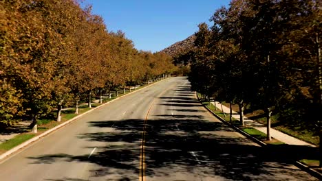 a drone flying over a street and between fall trees leading to a mountain