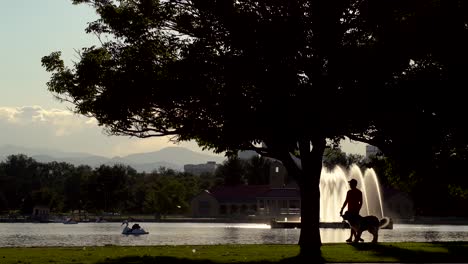 Pasear-Perros-En-El-Parque-De-La-Ciudad-De-Denver