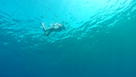 open water swimming