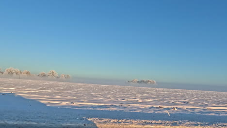 Car-POV-rural-area-in-winter