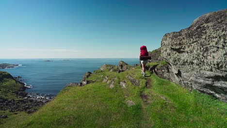 traveler with backpack and alaskan malamute walking on the rocky mountains near lovund island village, norway