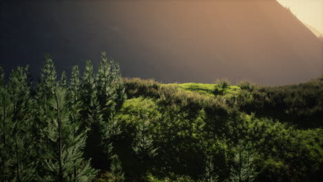 autumn-morning-with-fog-in-mountains