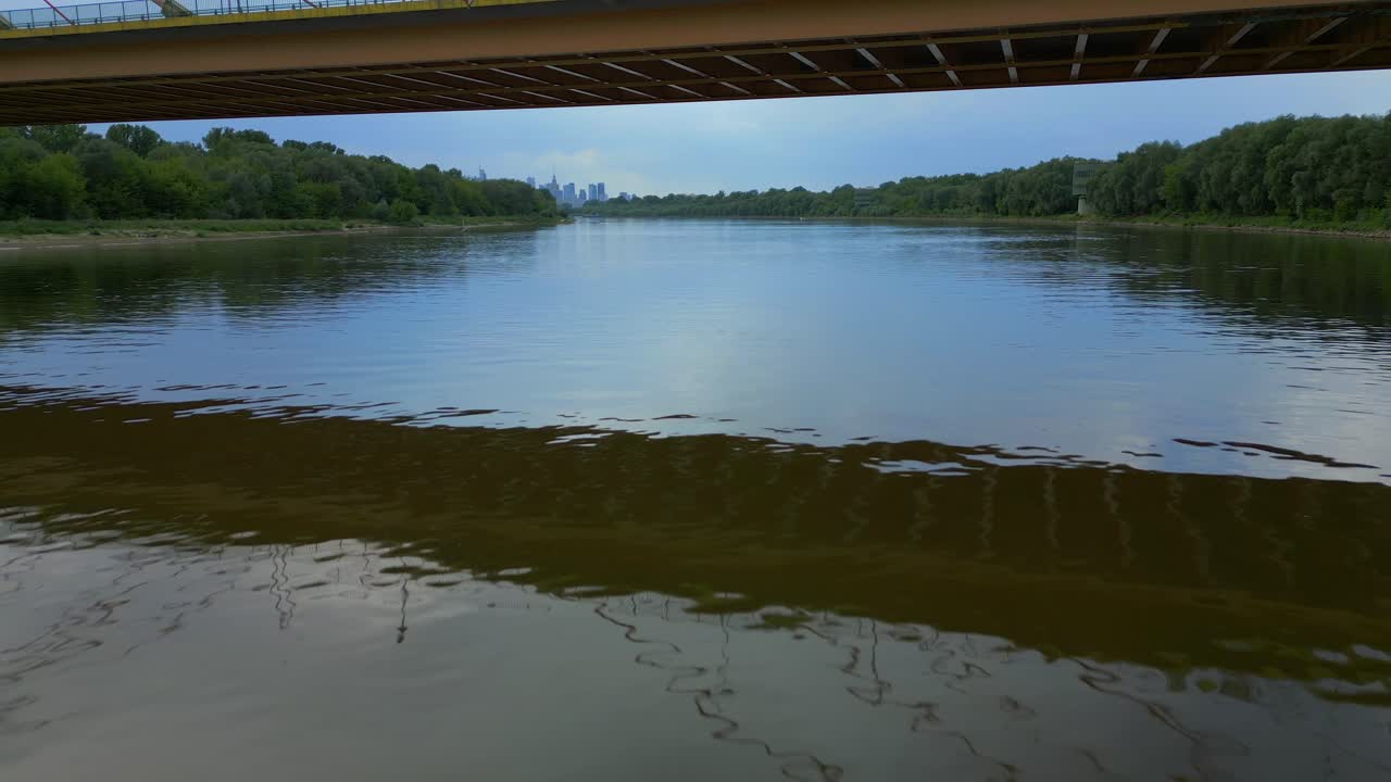 숲의 나무로 둘러싸인 세르코프스키 다리 아래의 항공 비행