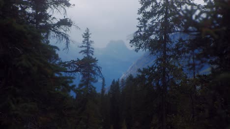 Montaña-Brumosa-En-La-Distancia-A-Través-Del-Bosque-De-Pinos