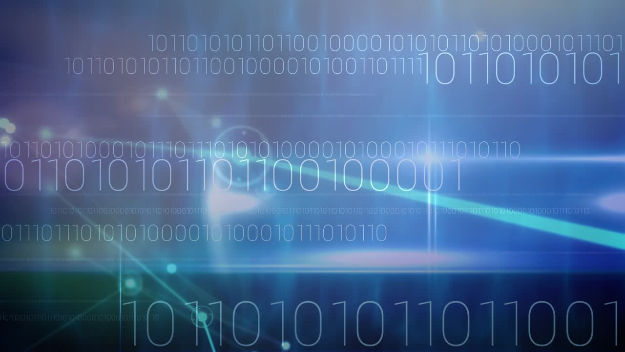 Animation of data processing and binary coding over network of connections