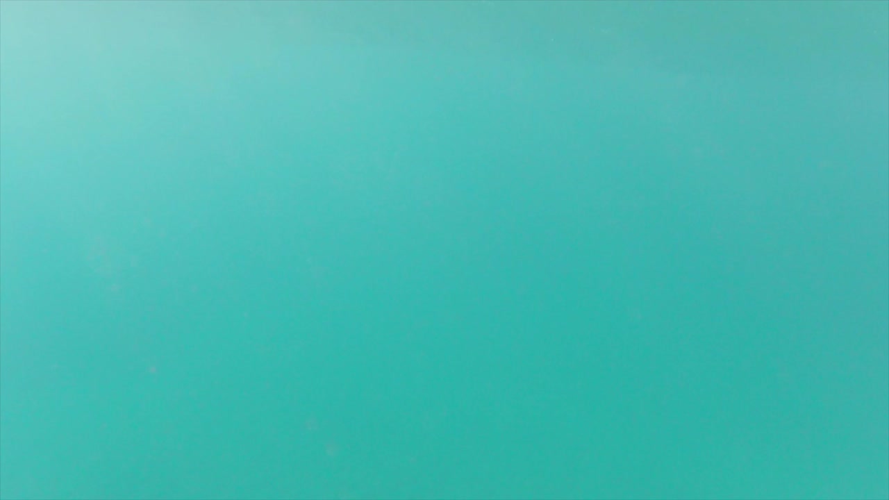 Below the Ocean surface