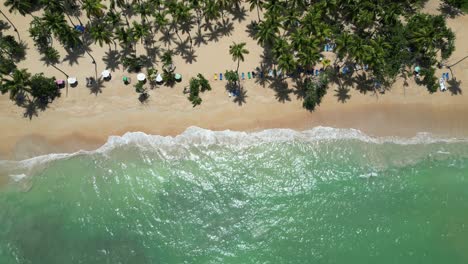 aerial view of tourists bathing in the turquoise waters at punta popy beach in the tourist town of las terrenas in the dominican republic