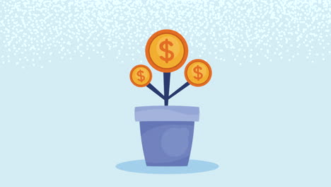 coins money dollar plant animation