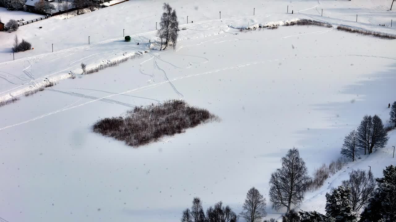 A peaceful snowy winter field features a central thicket patch, light snowfall, scattered tree shadows, and soft rolling snowdrifts stretching across the quiet white landscape.