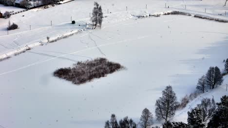 a peaceful snowy winter field features a central thicket patch, light snowfall, scattered tree shadows, and soft rolling snowdrifts stretching across the quiet white landscape.