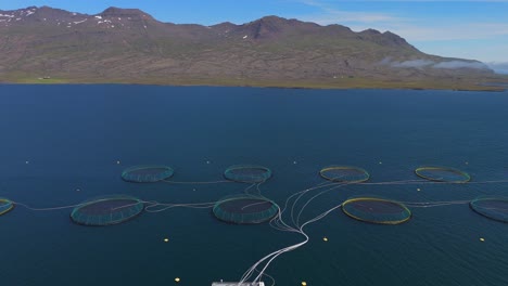 join us on a soaring journey over iceland’s salmon farms, where crystal-clear waters and advanced farming techniques create a picturesque seafood paradise.