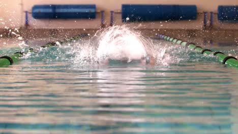 Colocar-Nadadora-Haciendo-El-Estilo-Mariposa-En-La-Piscina.