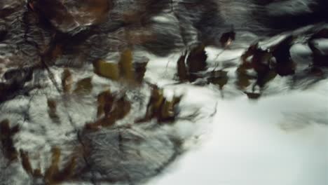 Filmische-Reflexion-Von-Baumblättern-Und-Wolken-Im-Flusswasser