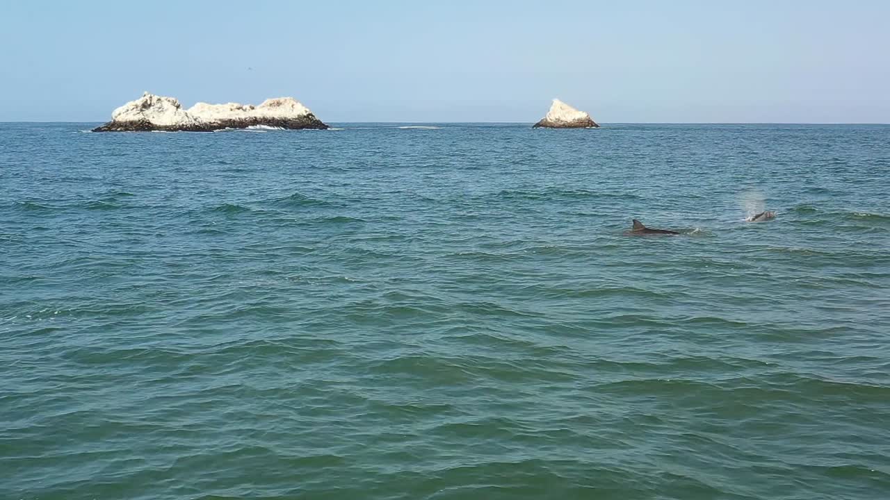 느린 동작으로 배경에 작은 섬이 있는 바다에서 수영하고 숨을 쉬기 위해 나오는 돌고래의 드론 샷