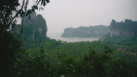 overlooking and peering through tropical forest trees out to coastline bay in railay