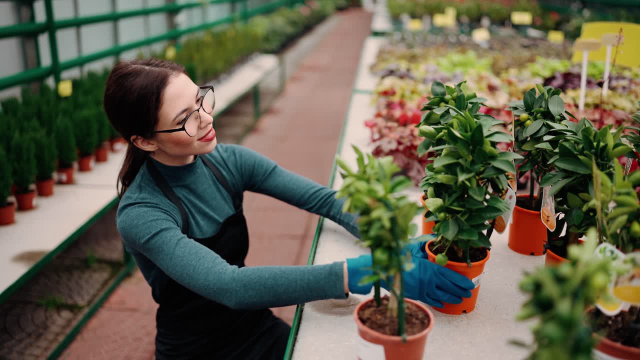 mujer jardinera que trabaja cuidando plantas y flores en el invernadero