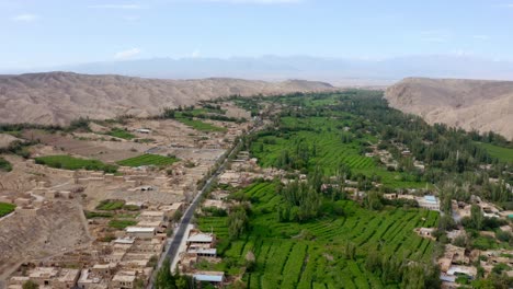 aerial view of organic green vineyards plantations in desert area