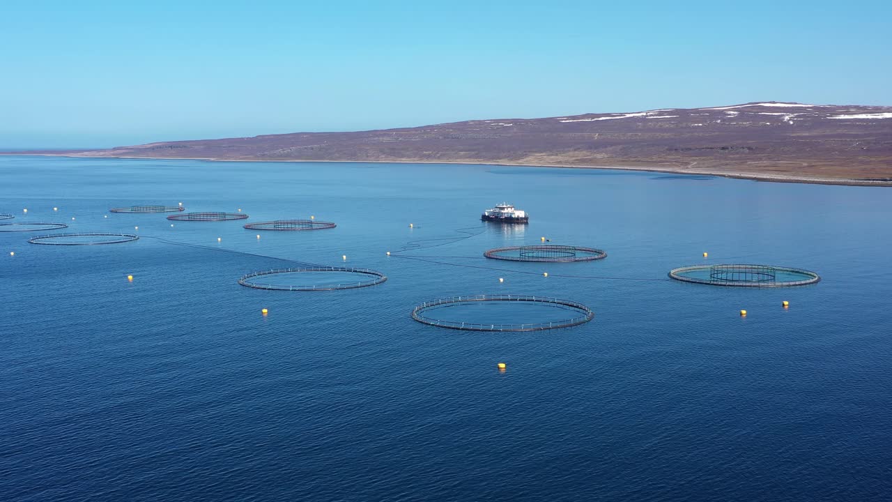 воздушные кадры рыболовства лосося на ферме в норвегии