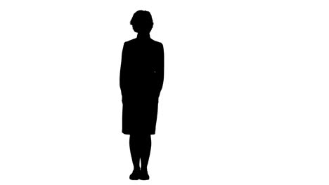 silhouette cheerful speaker making business presentation track matte
