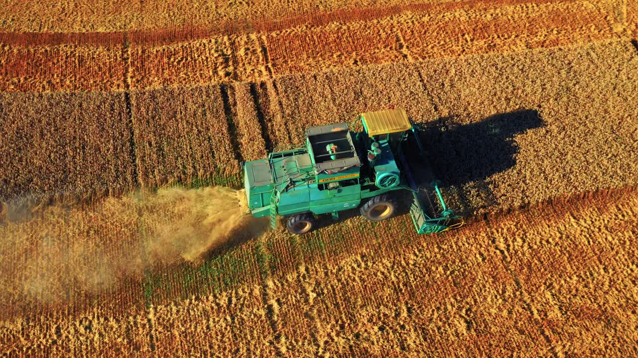 Premium stock video - Combine harvester harvesting crops with straw ...