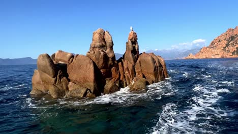 Seagull-perched-on-rock-seen-from-moving-boat-in-middle-of-sea-at-Calanques-de-Piana-in-Corsica-island,-France