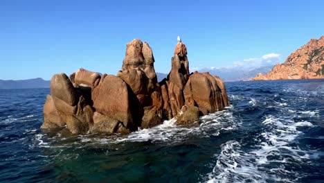 gaviota asentada en una roca vista desde un barco en movimiento en medio del mar en calanques de piana en la isla de córcega, francia