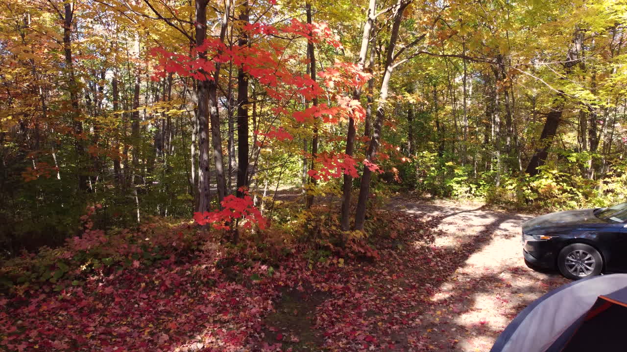 Rising aerial from camera on tripod by tent to colorful autumn forest