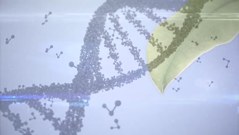 Animation-Von-DNA-Und-Molekularen-Strukturen-über-Nahaufnahme-Von-Blättern-Vor-Blauem-Hintergrund