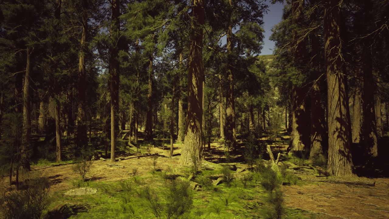 Rigogliosa foresta verde con alberi imponenti e la luce del sole che filtra tra i rami