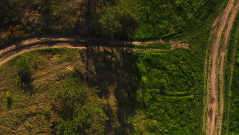 Woman-running-with-golden-retriever-dog-in-nature-on-the-dirt-tracks