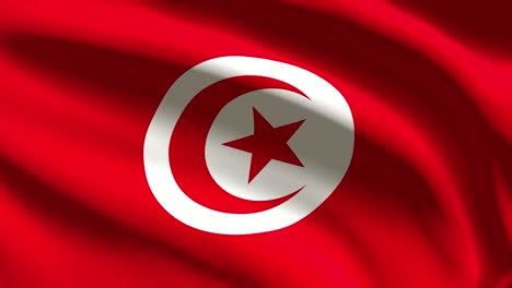 festive 60fps tunisia flag  waving on the wind 4k uhd 3d seamless loop animation