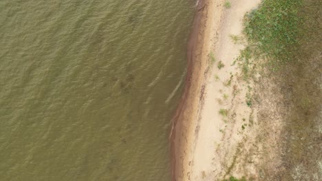 Antenne:-Rotierende-Aufnahme-Einer-Küste-Mit-Gras,-Das-Auf-Sand-Und-Plätscherndem-Wasser-Wächst