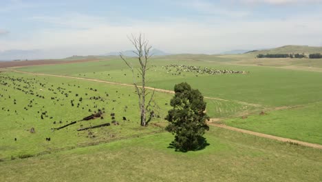 terres agricoles d'afrique du sud