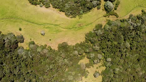 aerial drone topdown view flying over green hills with trees