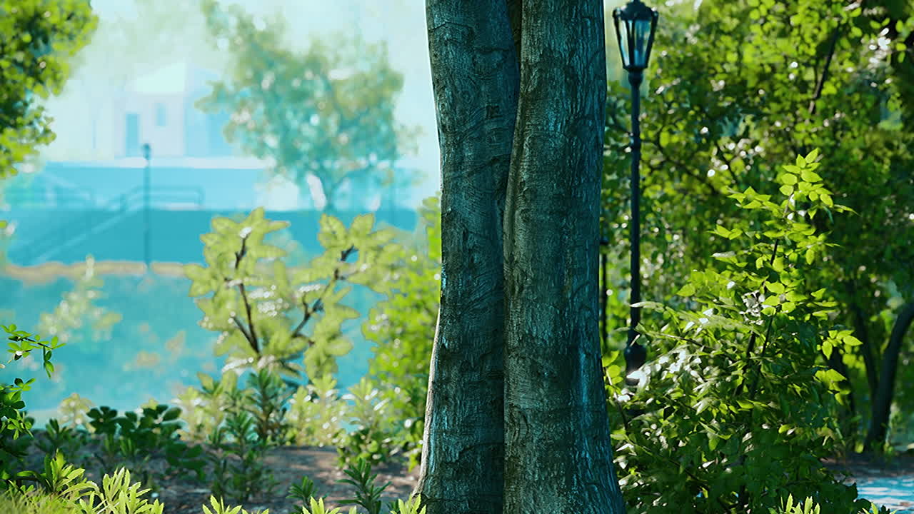 Sunrise in the beautiful park