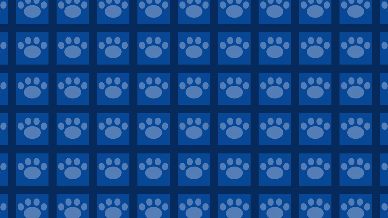 Blue Paw Print Pattern
