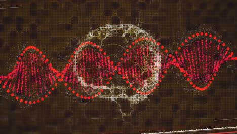 animación del cerebro sobre la hilera de adn girando