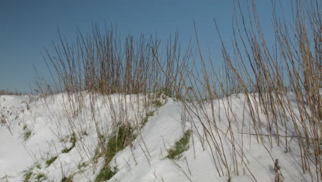 Melting-snow-and-grass-on-a-sunny-day-in-Belgian-countryside