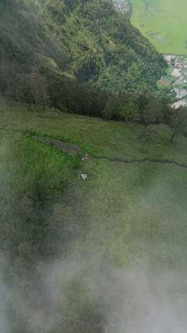 vertical drone footage captures trunyan hill in bali, where soft clouds roll over its green slopes, blending the rugged mountain terrain with misty highland views in a peaceful atmosphere