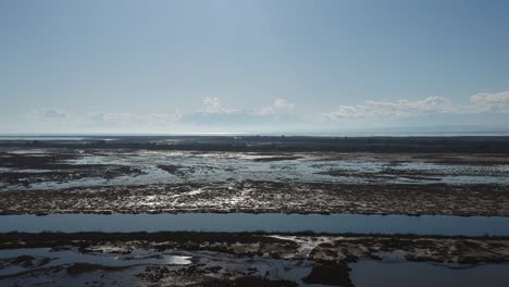 aerial drone shot backtracking and ascending over a river and swampwater in axios river delta in the area of thessaloniki in greece