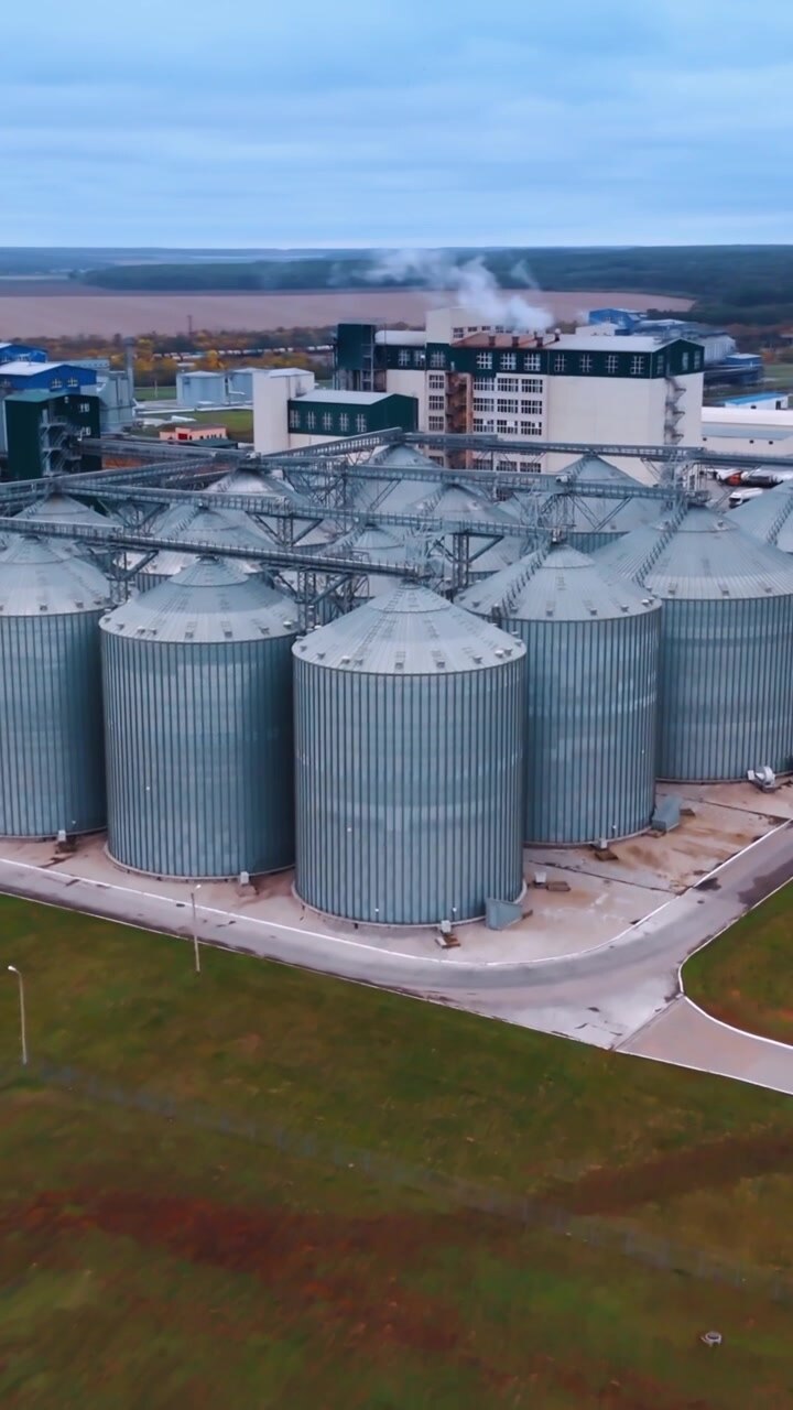 Enorme impresa agricola moderna sparsa nella campagna. Magazzini e gruppi di silos per cereali nei campi. Vista aerea. Video verticale