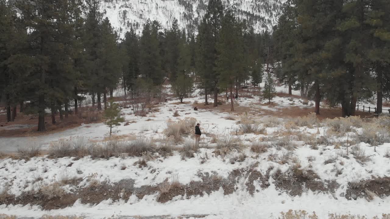 el monte charleston, nevada, es una caminata de invierno.