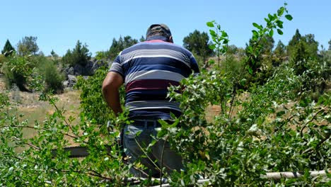 Hombre-Cortando-Madera-Con-Sierra